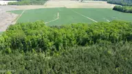 Off Speights Chapel Road, Whitakers, NC 27891 — lot, Whitakers, NC, photo 19 of 57: DJI_0588