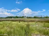 280 Donnie Davis Road, Williston, NC 28589 — waterfront lot in William C. Alston, Williston, NC, photo 15 of 21: Beautiful surroundings