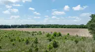 000 Oberry Road, Dudley, NC 28333 — lot, Dudley, NC, photo 17 of 38: 0OberryRd-DudleyNC-17
