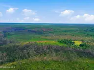 10 Acres Address Tbd, Boiling Spring Lakes, NC 28461 — lot, Boiling Spring Lakes, NC, photo 4 of 16