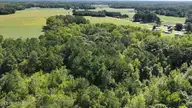 6033 Homestead Road, Elm City, NC 27822 — lot, Elm City, NC, photo 10 of 42: Screenshot 2026-09-29 114019