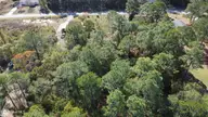 Lot 47 47 Ward Drive, Dudley, NC 28333 — lot in Rita Pines, Dudley, NC, photo 6 of 6: DJI_0694