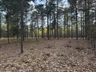 27 1209 Birkdale Way, Pinehurst, NC 28374 — lot in Forest Creek, Pinehurst, NC, photo 16 of 20: IMG_0985 Medium