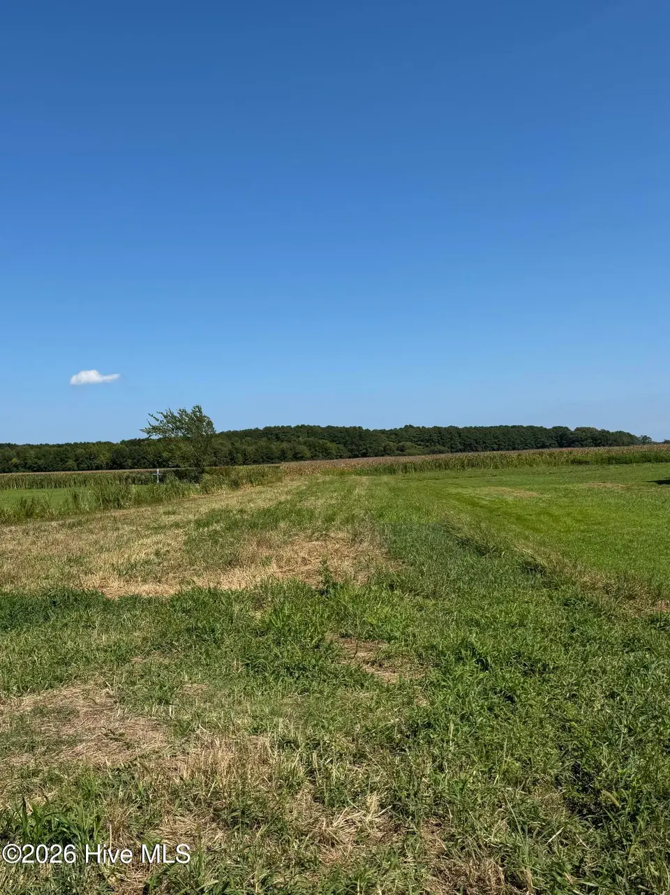 0 Salem Church Road, Elizabeth City, NC 27909 — lot, Elizabeth City, NC, photo 1 of 2: IMG_0755