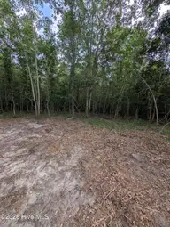 Tbd 2R-3 Peyton Drive, Eagle Springs, NC 27242 — lot, Eagle Springs, NC, photo 8 of 11: PXL_20260707_210746038