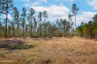 0 Nc-903, Stokes, NC 27884 — lot, Stokes, NC, photo 5 of 28: Stokes Tract 6