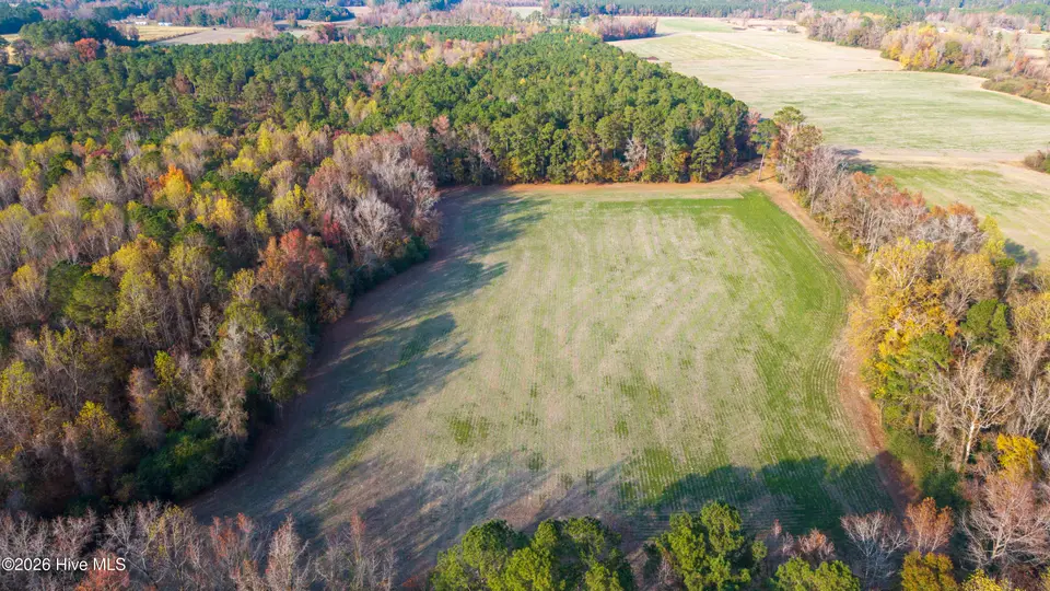 41.5 Acres High School Road, Teachey, NC 28464 — lot, Teachey, NC, photo 1 of 20