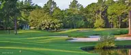 5514 Gondolier Drive, New Bern, NC 28560 — 4-bedroom waterfront home in Fairfield Harbour, New Bern, NC, photo 16 of 33: Golf Course