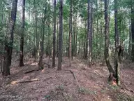 0 Tract 1 Nc 30, Stokes, NC 27884 — lot, Stokes, NC, photo 12 of 17: IMG_6012