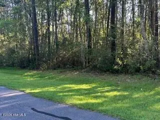902 113 River Reach Court, New Bern, NC 28560 — lot in Fairfield Harbour, New Bern, NC, photo 1 of 25: IMG_0871