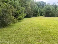 3 Larkins Road, Rocky Point, NC 28457 — lot, Rocky Point, NC, photo 2 of 7: IMG_5056