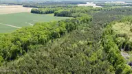 Off Speights Chapel Road, Whitakers, NC 27891 — lot, Whitakers, NC, photo 18 of 57: DJI_0587