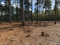 27 1209 Birkdale Way, Pinehurst, NC 28374 — lot in Forest Creek, Pinehurst, NC, photo 5 of 20: IMG_0990 Medium