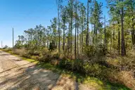 166 Fulcher Landing Drive, Stacy, NC 28581 — waterfront lot, Stacy, NC, photo 18 of 22: Waterfront vacant lot in Stacy