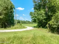 000 S Wisteria Lane, Willard, NC 28478 — lot, Willard, NC, photo 8 of 10