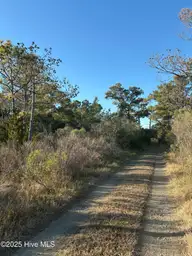 196 Styron Creek Road, Sea Level, NC 28577 — lot, Sea Level, NC, photo 2 of 2: tempImage0yoOj3