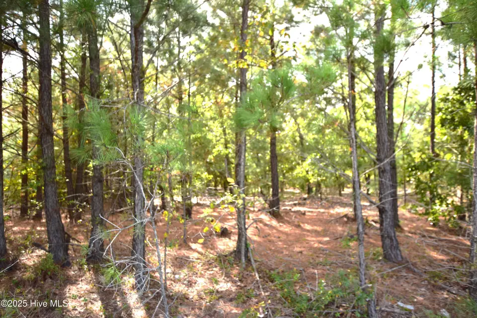 1035 Mill Road, Jackson Springs, NC 27281 — lot, Jackson Springs, NC, photo 1 of 5: Mill Road Jackson Springs