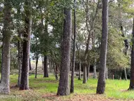 3263 29 & 29a Marsh View Drive SW, Supply, NC 28462 — waterfront lot in Lockwood Folly, Supply, NC, photo 8 of 55: Lot 29