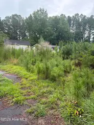 120 Deer Tract Drive, Washington, NC 27889 — lot, Washington, NC, photo 2 of 2: IMG_8299