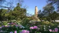 207 559 Muscadine Wynd, Bald Head Island, NC 28461 — lot in BHI (Bald Head Island), Bald Head Island, NC, photo 11 of 12: OLD BALDY LIGHTHOUSE