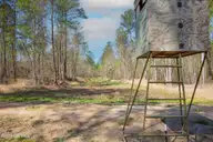 0 Nc-903, Stokes, NC 27884 — lot, Stokes, NC, photo 14 of 28: Stokes Tract 23