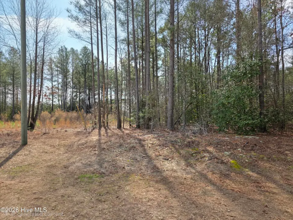 275 10 Raynor Sands Drive, Dunn, NC 28334 — lot in Raynor Sands, Dunn, NC, photo 1 of 8