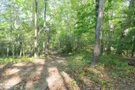 104 Bridle Path Lane, Carthage, NC 28327 — 3-bedroom waterfront home in Carolina Equest, Carthage, NC, photo 19 of 64: DSC04915