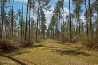 0 Nc-903, Stokes, NC 27884 — lot, Stokes, NC, photo 23 of 28: Stokes Tract 15