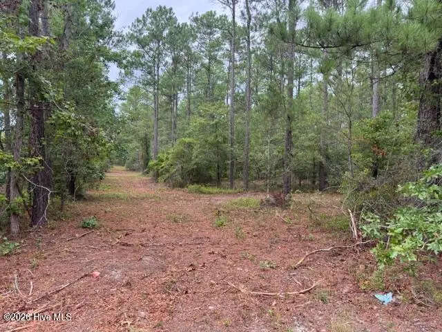 0 1 Nc Highway 210 Road, Currie, NC 28435 — lot, Currie, NC, photo 1 of 10