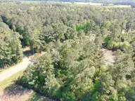 1827 Lightwood Bridge Road, Wallace, NC 28466 — lot, Wallace, NC, photo 3 of 12: PTSC_1018