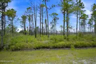 10 Acres Address Tbd, Boiling Spring Lakes, NC 28461 — lot, Boiling Spring Lakes, NC, photo 15 of 16