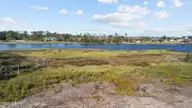 280 Donnie Davis Road, Williston, NC 28589 — waterfront lot in William C. Alston, Williston, NC, photo 14 of 21: Waterfront land