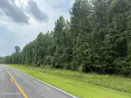 0 Old Sandhill Road, Edward, NC 27821 — lot, Edward, NC, photo 11 of 23: IMG_1787 2