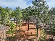 103 Chesterfield Drive, Pinehurst, NC 28374 — 4-bedroom home in Forest Creek, Pinehurst, NC, photo 13 of 47: DJI_0201
