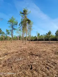 6100 Ocean Highway E, Winnabow, NC 28479 — lot, Winnabow, NC, photo 6 of 7