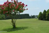 9295 45 Oldfield Road NW, Calabash, NC 28467 — lot in Crow Creek, Calabash, NC, photo 6 of 8: Hole_2 (4)