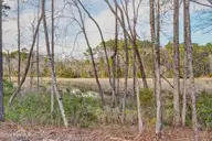740 Quiet Meadow Drive Lot 67, Jacksonville, NC 28546 — 4-bedroom home in Serenity Crossing, Jacksonville, NC, photo 8 of 50