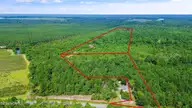 1 Lizzie Henry Road, Ivanhoe, NC 28447 — lot, Ivanhoe, NC, photo 3 of 15: lizziehenryrd_00002