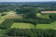 1419 Mable Spaulding Road, Whiteville, NC 28472 — lot, Whiteville, NC, photo 10 of 16: Tom Sessions Rd