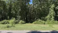 6033 Homestead Road, Elm City, NC 27822 — lot, Elm City, NC, photo 15 of 42: IMG_9311