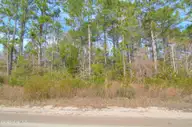 2890 Bird Drive SW, Shallotte, NC 28470 — lot in Shell Point, Shallotte, NC, photo 2 of 2: Front