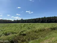 0 Nc Highway 33, Chocowinity, NC 27817 — lot, Chocowinity, NC, photo 1 of 18: IMG_2041 2