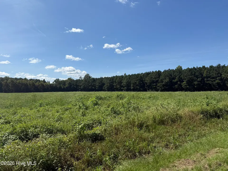0 Nc Highway 33, Chocowinity, NC 27817 — lot, Chocowinity, NC, photo 1 of 18: IMG_2041 2