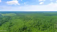 1 Lizzie Henry Road, Ivanhoe, NC 28447 — lot, Ivanhoe, NC, photo 14 of 15: lizziehenryrd_00013