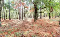 3033 Island Drive SE, Bolivia, NC 28422 — waterfront lot in River Run Plantation, Bolivia, NC, photo 4 of 6: tempImageutdNYg