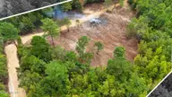 5 Bull Tail Road, Wallace, NC 28466 — lot, Wallace, NC, photo 8 of 21