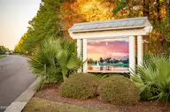 9418 Fallen Pear Lane NE, Leland, NC 28451 — 4-bedroom home in The Bluffs on the Cape Fear, Leland, NC, photo 2 of 16: PSP_7766