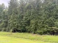 0 Old Sandhill Road, Edward, NC 27821 — lot, Edward, NC, photo 12 of 23: IMG_1788 2