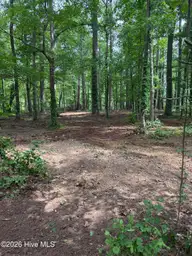 0 94 Winfield Lane, Pinetown, NC 27865 — waterfront lot in Winfield Estates, Pinetown, NC, photo 5 of 9: IMG_0573