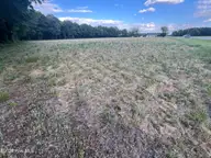 0 Tract 1 Nc 30, Stokes, NC 27884 — lot, Stokes, NC, photo 17 of 17: IMG_6020